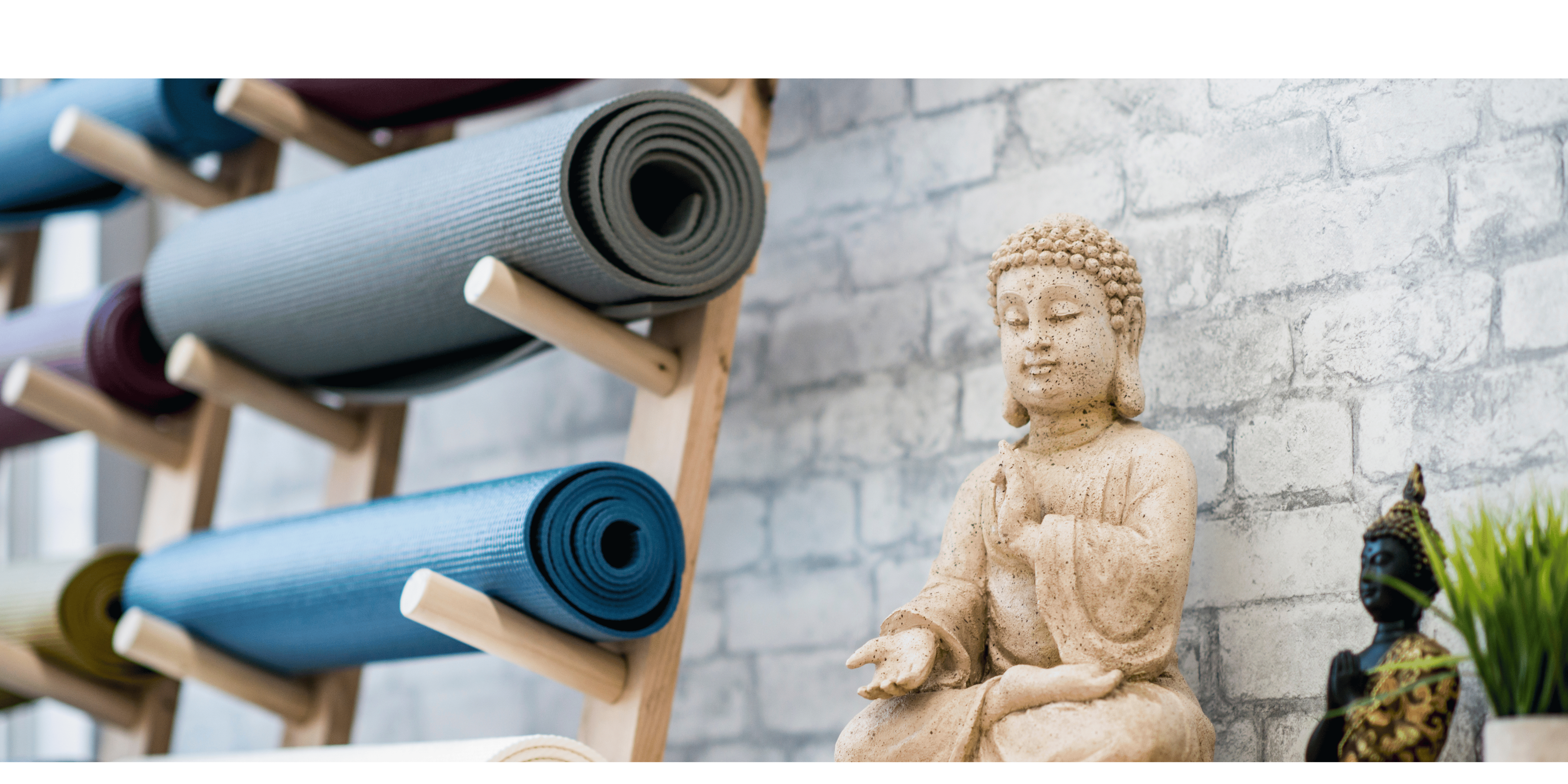 Yoga and Pilates equipment yoga mats, elastic band yoga wedges and foam rollers 