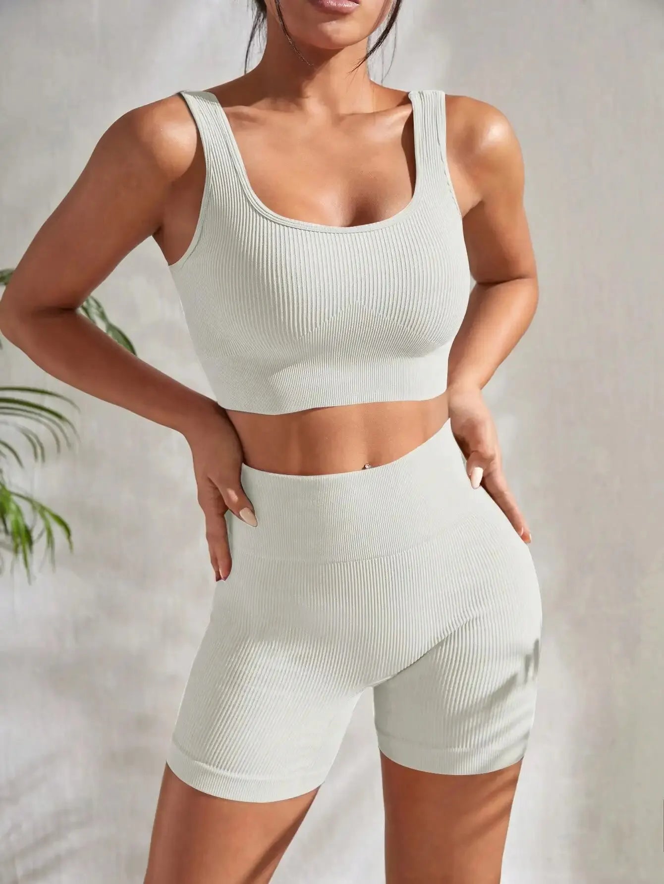 2 Pieces Seamless Ribbed Yoga Sets for Women Crop Tank High Waist Shorts 