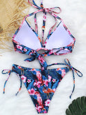 Push Up Two Piece Flamingo Bikinis Swimsuit Plus Size Bikini Set available