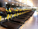 Gym Professional Gym Equipment Body Building Hot Sale Commercial Fitness Treadmill