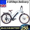 EU UK M2 26 INCH ELECTRIC CITY BIKE CE STANDARD 250W 500W 48V12.5AH PADEL ASSIST BICYCLE LADY BIKE