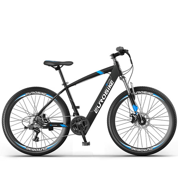 Electric bicycle 250W Motor Mountain Bike 21 Speed  36V13AH Big Battery Removable Lithium Battery e-bike