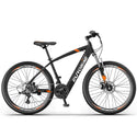 Electric bicycle 250W Motor Mountain Bike 21 Speed  36V13AH Big Battery Removable Lithium Battery e-bike