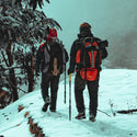 Carbon fibre Trekking poles  JD SPORTS, hiking stick nordic decathlon  walking stick, sports direct