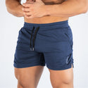 M-3XL Men Running Mesh Fitness Shorts in Various Solid Colours
