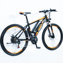 Customized 250W electric bike 36V/48V with 21X gear shifter