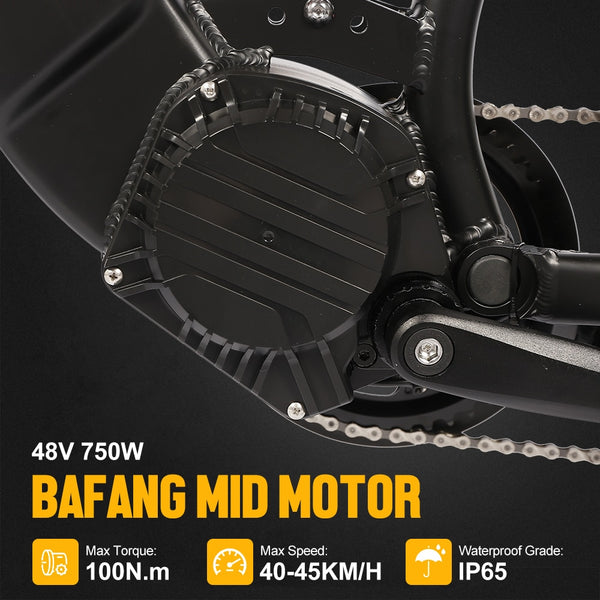 Accolmile 250W Electric Mountain Bike 48V 750W Bafang Mid-Motor