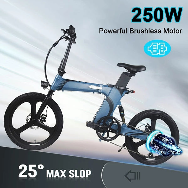 DEAKY SPORTS Z7 Folding 250W 36V 8Ah  20 inch Wheel Electric Bike 