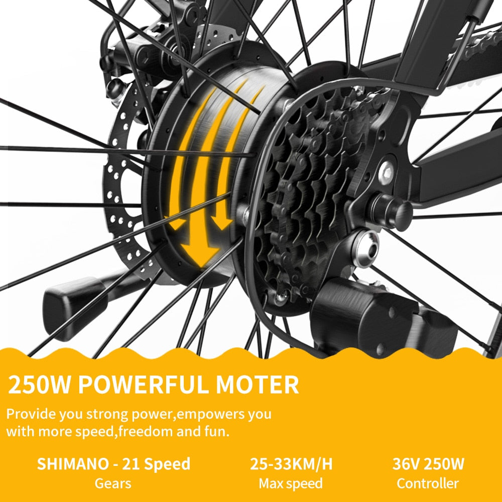 Pedelec 250W 36V 7.8Ah 26 Inch Shock Absorber E-bike