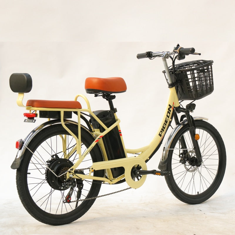 24inch 250W 7 Variable Speed Removable Battery Electric Bicycle - 2 SEATS