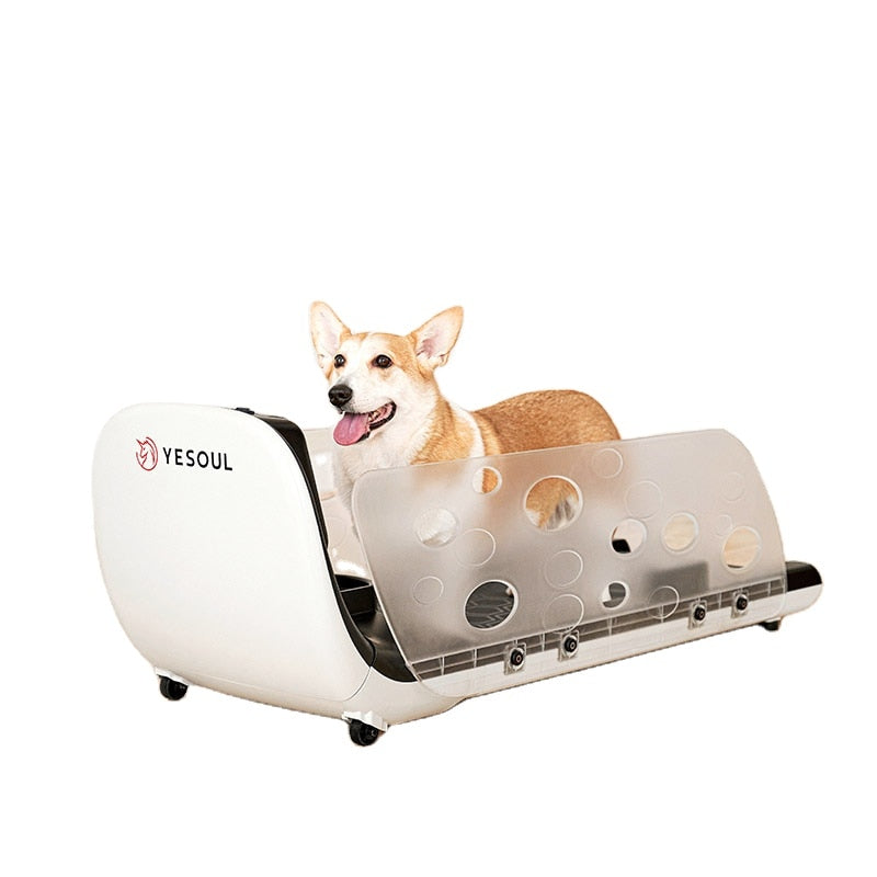 |<none>Temperature regulating dog running training machine pet treadmill with feeding function