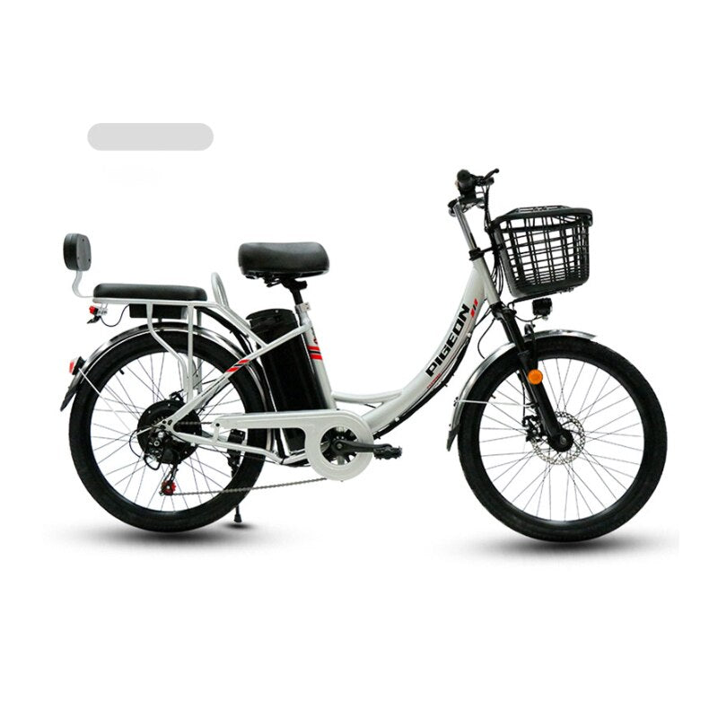 24inch 250W 7 Variable Speed Removable Battery Electric Bicycle - 2 SEATS